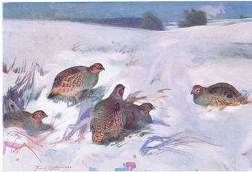 Wenn der Winter hart einsetzt